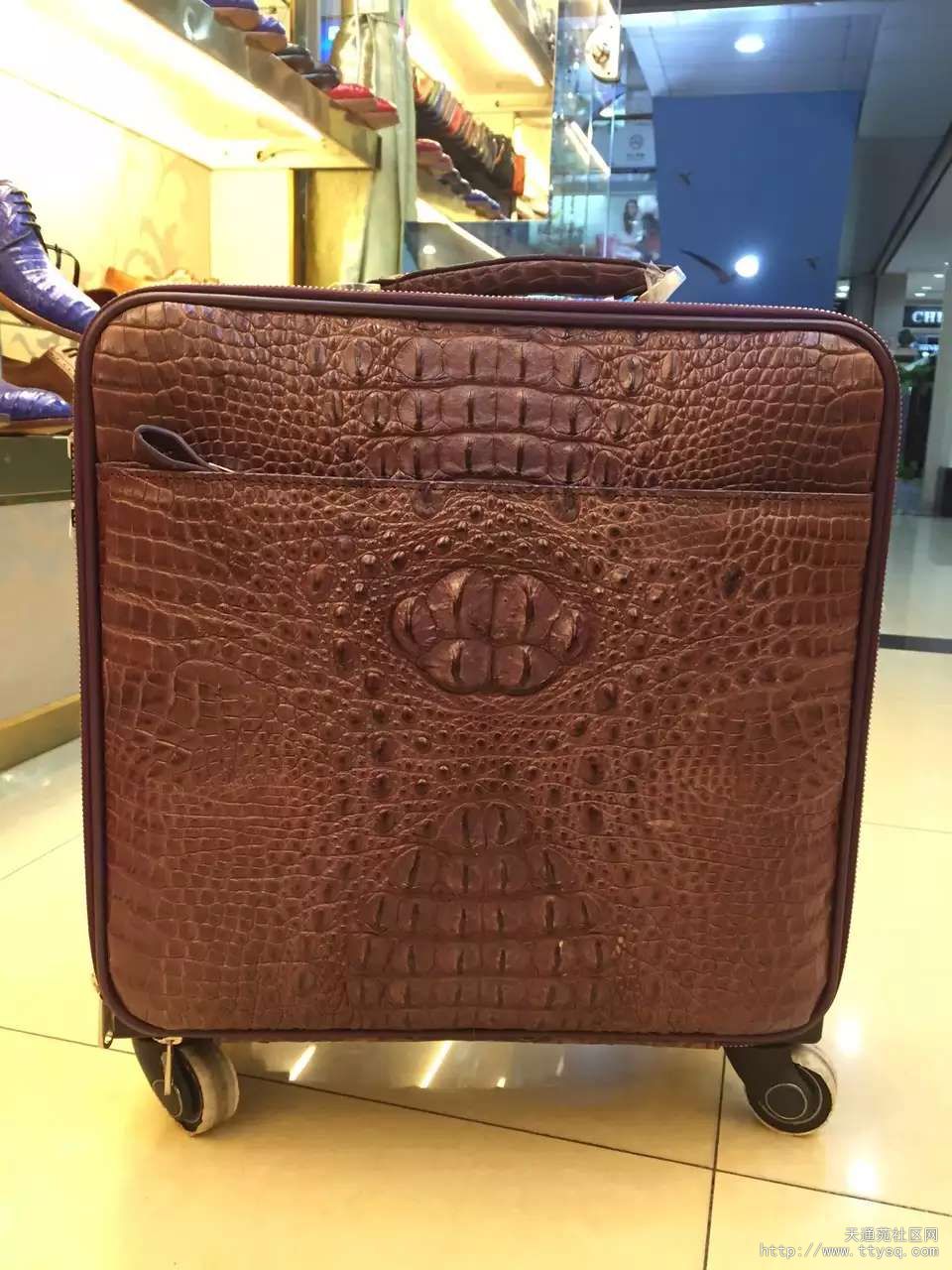 鳄鱼皮行李箱