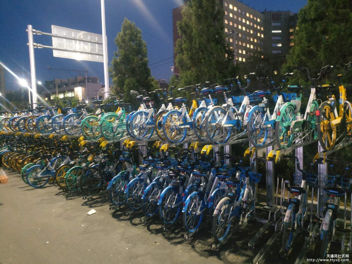 天通苑地铁站附近的共享单车秩序有点改进了