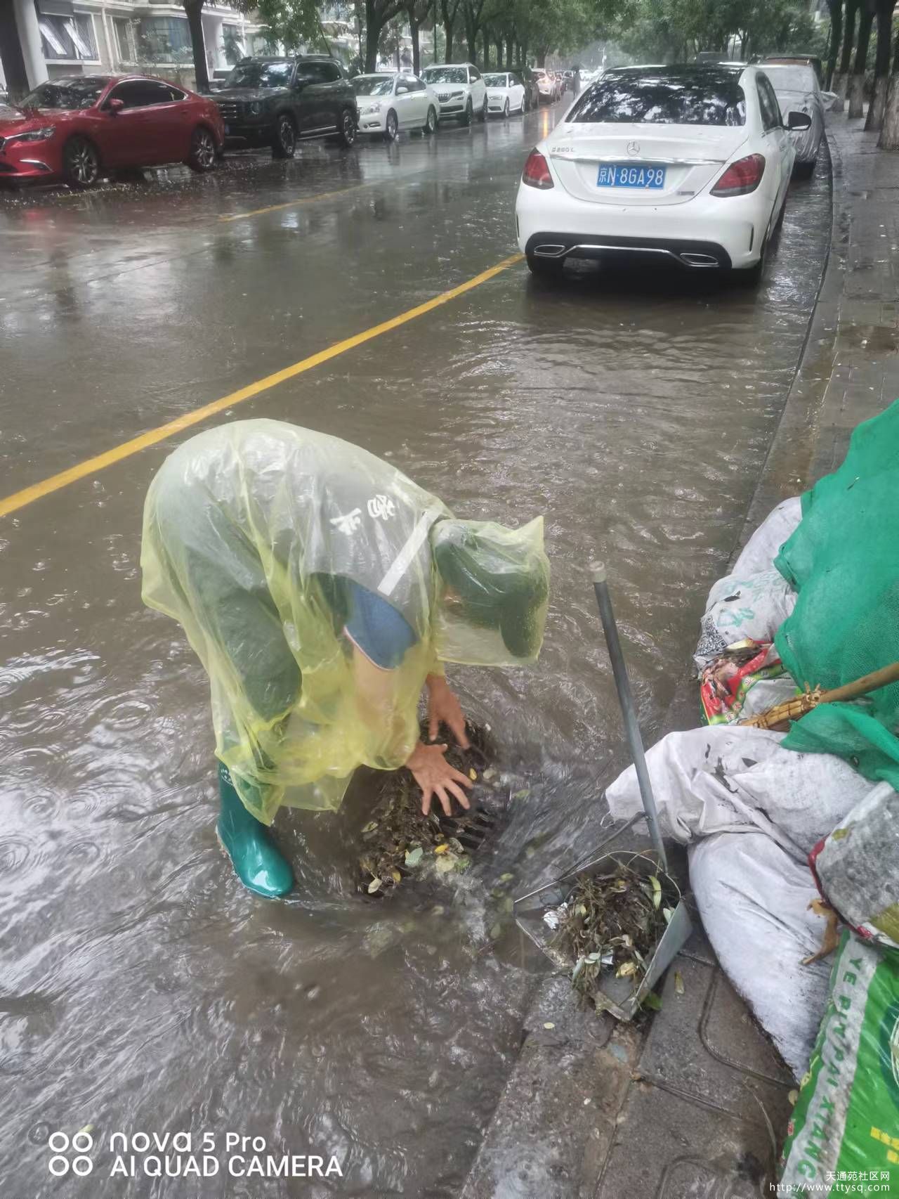雨水中的清洁工